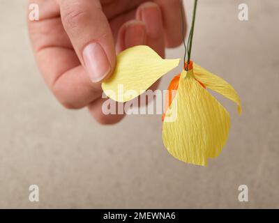 Papercraft Daffodil steps Stock Photo