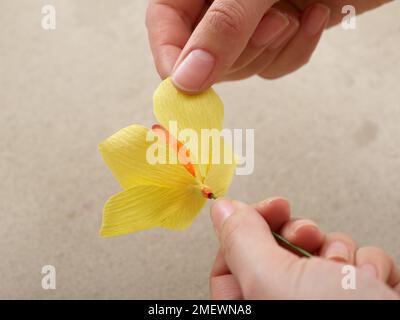 Papercraft Daffodil steps Stock Photo