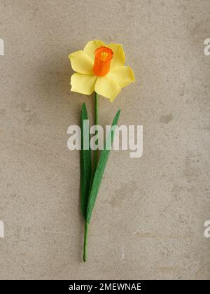 Papercraft Daffodil steps Stock Photo