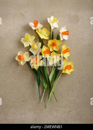 Papercraft Daffodil beauty shot Stock Photo