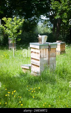 034 Beekeeping apiary o Stock Photo