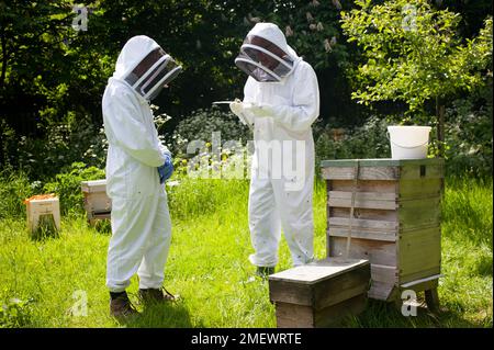 034 Beekeeping teacher b Stock Photo