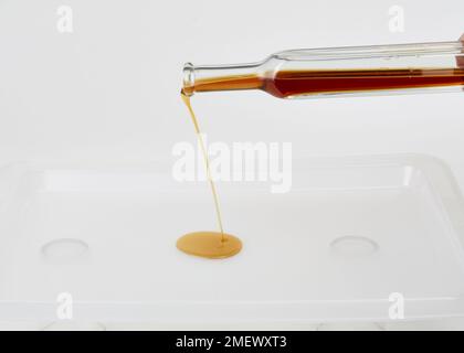 Cooking oil being poured from a glass bottle Stock Photo