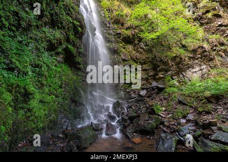 Waterfall of Belaustegi beech forest, Gorbea Natural Park, Vizcaya, Spain Stock Photo