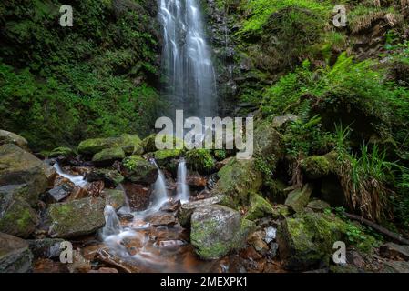 Waterfall of Belaustegi beech forest, Gorbea Natural Park, Vizcaya, Spain Stock Photo