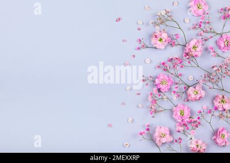 Spring floral composition made of fresh pink flowers on light pastel background. Festive flower concept. Flat lay, top view with copy space. Stock Photo