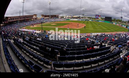 Socially distanced baseball fans watch a spring training