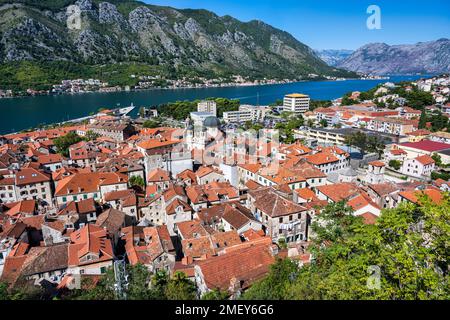 Aerial view of the fortified town of Kotor on the Bay of Kotor in Montenegro Stock Photo