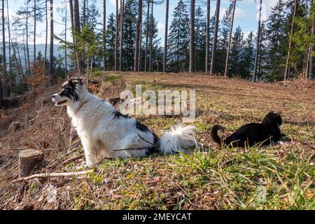 Dispute . Marriage crisis . Ehekrach . Ehekrise Stock Photo - Alamy