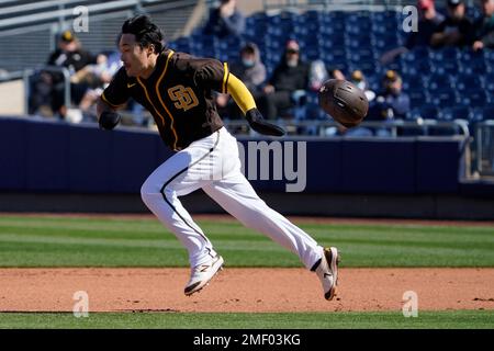 I think we should all pitch in and buy Ha-Seong Kim a properly fitting  helmet. WE MUST PROTECT HIM AT ALL COSTS. : r/Padres