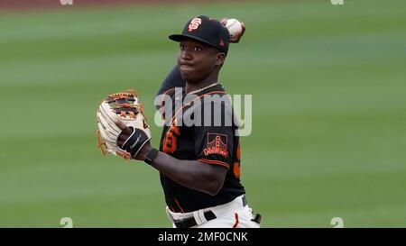 San Francisco Giants' Marco Luciano during a baseball game against the  Boston Red Sox in San Francisco, Friday, July 28, 2023. (AP Photo/Jeff Chiu  Stock Photo - Alamy