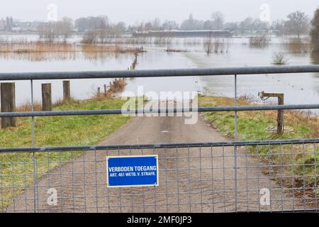 Olst Wijhe, The Netherlands - Januari 21, 2023: High water in river IJssel near Olst Wijhe in Overijssel in The Netherlands Stock Photo