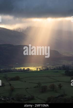 Light rays shining through dark and dramatic storm clouds over green fields in British countryside on a summer morning. Lake District, UK. Stock Photo