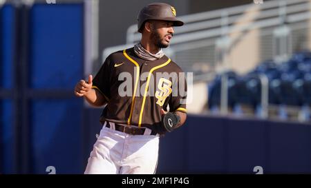San Diego Padres' Ivan Castillo runs to second base in a spring training  baseball game against the Kansas City Royals, Sunday, March 7, 2021, in  Peoria, Ariz. (AP Photo/Sue Ogrocki Stock Photo 