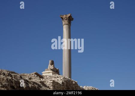 Pompey’s Pillar and sphinx site of Temple of Serapis in the Karmous quarter in south west area of the city of Alexandria, Egypt Stock Photo