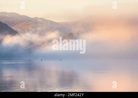 Geese flying low over calm and misty lake at dawn. Derwentwater, Keswick, Lake District, UK. Stock Photo