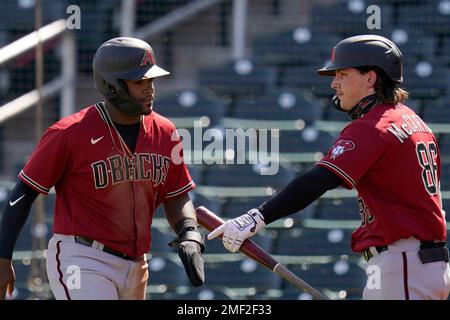 This is a 2021 photo of Domingo Leyba of the Arizona Diamondbacks baseball  team. This image reflects the Arizona Diamondbacks active roster as of  Friday, Feb. 26, 2021 when this image was