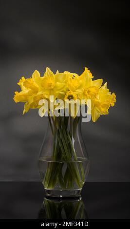 Daffodils in Glass Vase Stock Photo