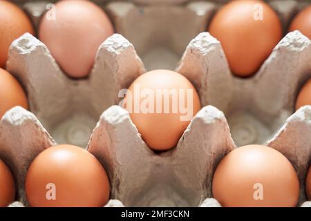Eggs set. Many food protein. Colorful bright on background. Hard shadow. Easter sun box. Carton organic concept. Traditional cuisine top view. Flatlay Stock Photo