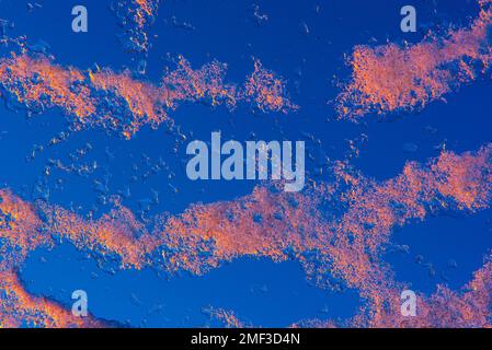 image of ice crystals formed in winter on glass Stock Photo