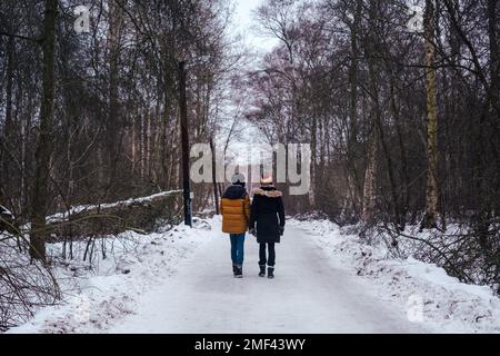 Two people walking in the woods in Sweden Stock Photo