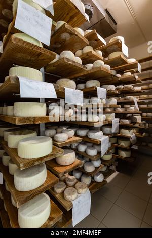 Rounds of cheese on wooden shelves in aging room at a pecorino cheese farm, in Pienza, Tuscany, Italy. Stock Photo