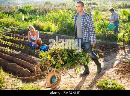 Young man gardener pushing wheelbarrow at garden Stock Photo