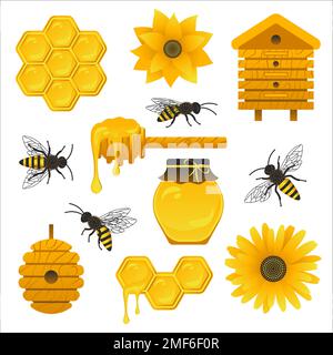 Honey elements collection. Set of beekeeping colorful icons. Bees, honeycomb, jar of honey, beehives, honey dipper and flowers element for label, bann Stock Vector