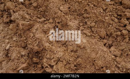 Closeup of macro view of red dirt or mud of pile soil from agriculture land. Soil Background with Text Space. Full frame texture Natural pattern Stock Photo