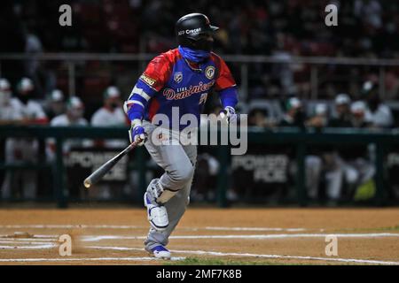 The Dominican Republic's baseman Robinson Cano celebrates after a single  against Mexico during a Caribbean Series semifinal baseball game in La  Guaira, Venezuela, Thursday, Feb. 9, 2023. (AP Photo/Fernando Llano Stock  Photo 