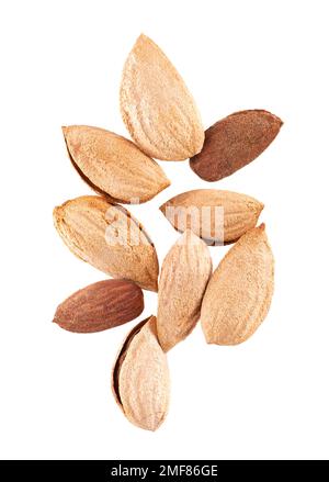 Mountain almonds isolated on white background. Uzbek wild almonds. Clipping path. Top view Stock Photo