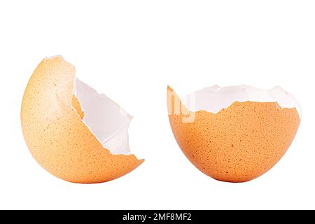 Egg shell isolated on white. Broken egg shell isolated on white Stock Photo