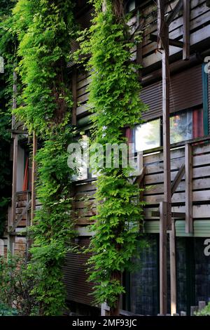 Villa des vignoles, Eden Bio a sustainable public housing project by  French architect Edouard François in 20eme arrondissement. Paris France Stock Photo