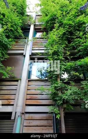 Villa des vignoles, Eden Bio a sustainable public housing project by  French architect Edouard François in 20eme arrondissement. Paris France Stock Photo