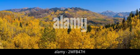 Autumn at McClure Pass - Panoramic Autumn view of rolling peaks of Elk Mountains surrounded by dense golden aspen forest, as seen from McClure Pass. Stock Photo
