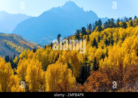 Autumn Mountain Forest - Bright Autumn morning sunlight shinning on colorful mountain forest in rugged Sneffels Range, Uncompahgre National Forest, CO. Stock Photo