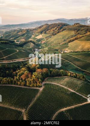Aerial view of autumn vineyards in Germany, at sunset. Stock Photo