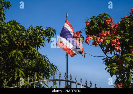Worn-out flag of Thailand on a pole surrounded by green leaves and red flowers. Ko Lanta, Thailand. Stock Photo