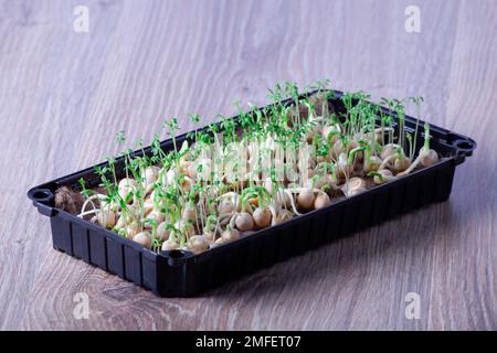 Close-up of peas microgreens with seeds and roots. Sprouting Microgreens. Seed Germination at home. Vegan and healthy eating concept. Sprouted peas Se Stock Photo