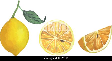 Vector illustration of juicy lemons, slices and whole bright yellow lemons, juicy fruits Stock Vector
