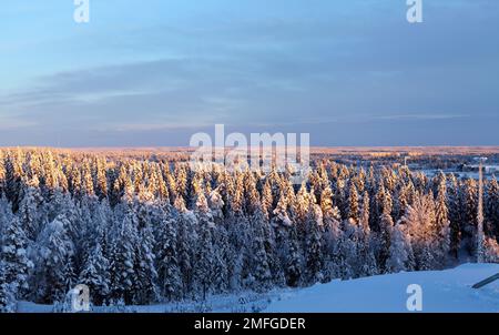 UMEA, SWEDEN ON DECEMBER 20, 2014. A wintry landscape is seen from the top of the slope. Covered trees, editorial use. Stock Photo