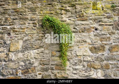 Old stone wall of a building. Stone wall as background or rustic pattern for wallpaper. Stock Photo