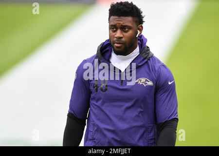 Baltimore Ravens inside linebacker Patrick Queen (48) reacts after scoring  on a 53-yard fumble recovery on a ball dropped by Cincinnati Bengals wide  receiver Mike Thomas, not visible, during the second half