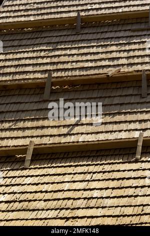 Roof construction site. Removal of old roof, replacement with new shingles, equipment and repair. Roofs are a very important part of all housing proje Stock Photo