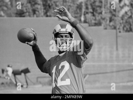 On December 29, 1974, James Harris of the Los Angeles Rams became the first  black quarterback to start a conference championship game : r/nfl