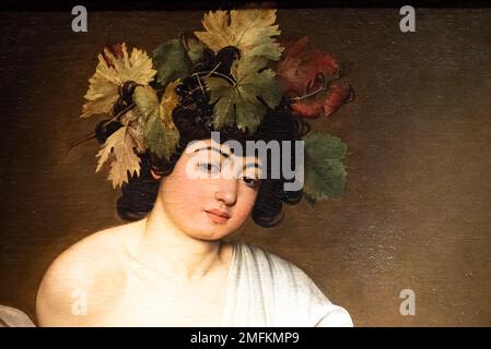 Portrait of brunette with leaves in her hair Stock Photo
