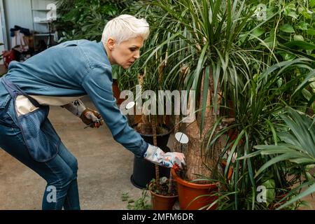Gardeners hand planting flowers in pot. Preparing my garden. Stock Photo