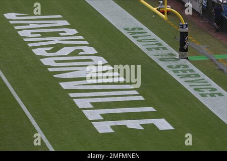 The Salute to Service logo is seen painted on the field before the first  half of an NFL football game between the Jacksonville Jaguars and the  Houston Texans, Sunday, Nov. 8, 2020,