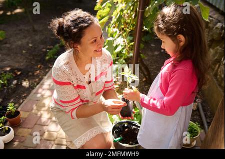 Gorgeous woman, amateur farmer and her daughter planting sprouted seedlings. Sowing Growing Planting Cultivating organic vegetables in eco farm. Farmi Stock Photo