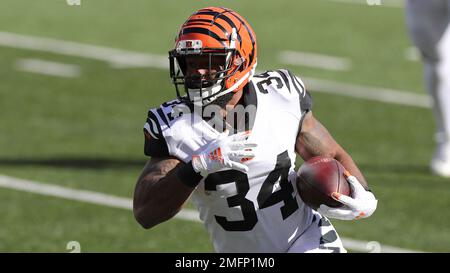 CINCINNATI, OH - DECEMBER 11: Cincinnati Bengals running back Samaje Perine  (34) runs the ball in a game between the Cleveland Browns and the Cincinnati  Bengals on December 11, 2022, at Paycor